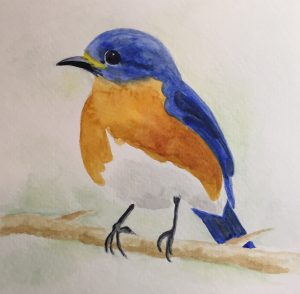 bird watercolor painting