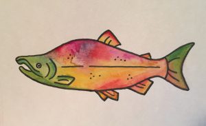 sockeye watercolor painting