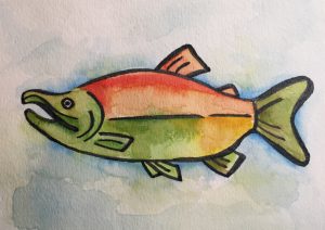 sockeye watercolor painting