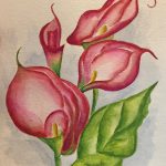 Calla Lily (11 x 14)