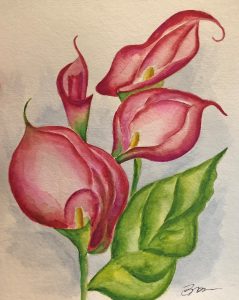 Calla Lily (11 x 14)