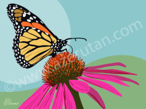 Monarch Butterfly