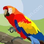 Parrot